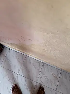 tncute callboyi online show from October 2025 05:05:01 AM