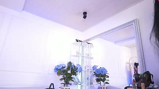 elasummer online show from February 2026 12:31:01 PM