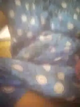 jessi telugu online show from December 2024 12:33:01 PM