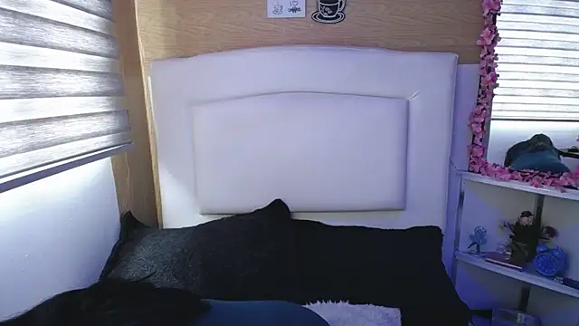 Snapshot of palmer_mIix chatting on March 2025 01:07:01 PM palmer mIix online show from March 2025 01:07:01 PM