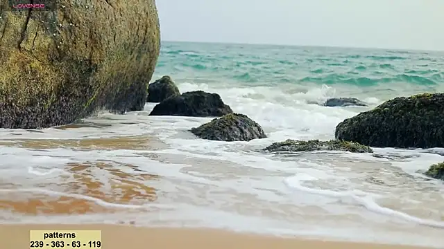 Snapshot of _sex_in_paradise_ chatting on January 2025 11:54:01 PM sex in paradise online show from January 2025 11:54:01 PM