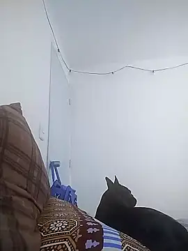 maria lasexy online show from December 2024 03:39:01 PM