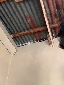 SEXY TOKYOxxx online show from October 2025 06:24:02 AM