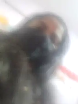 sana14 online show from February 2025 03:04:01 AM