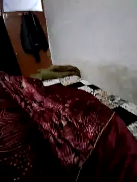 menakshiiikaur online show from December 2024 02:16:02 PM