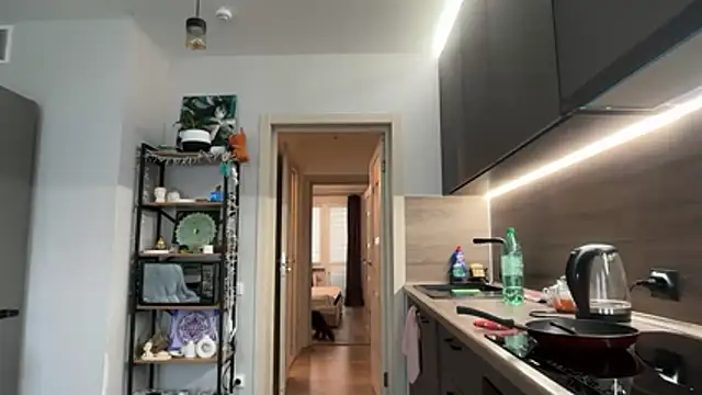 jainesummer online show from December 2025 08:45:01 AM