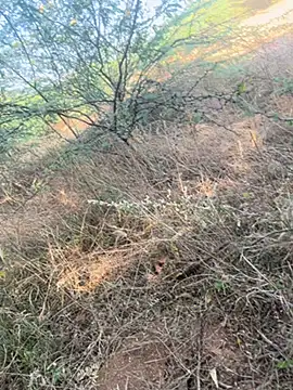 Snapshot of tamil000000 chatting on March 2025 11:03:01 AM tamil000000 online show from March 2025 11:03:01 AM