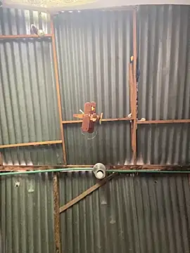 ElNegroRony online show from April 2026 04:04:01 PM