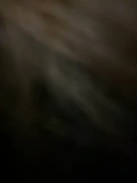 KitteCat online show from January 2025 02:46:01 PM