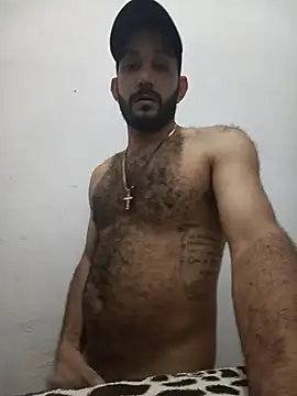 arqui009 online show from February 2026 03:11:01 AM