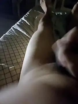 pedronovinho123 online show from December 2024 02:53:01 AM