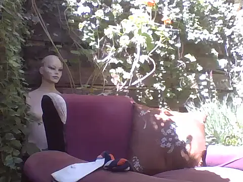 sweetbabyass online show from March 2025 04:51:02 PM