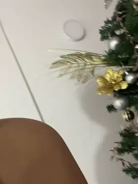 Snapshot of MireyaTorresGu chatting on January 2025 04:02:02 PM MireyaTorresGu online show from January 2025 04:02:02 PM