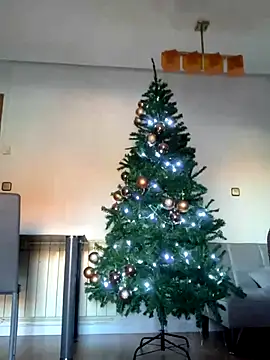 Ryan-hot online show from December 2024 10:55:01 AM