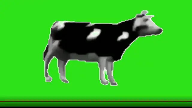 Snapshot of awesome_anna chatting on February 2026 10:55:02 AM awesome anna online show from February 2026 10:55:02 AM