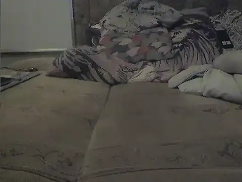 Snapshot of Adi1985gda chatting on November 2025 12:59:02 PM Adi1985gda online show from November 2025 12:59:02 PM