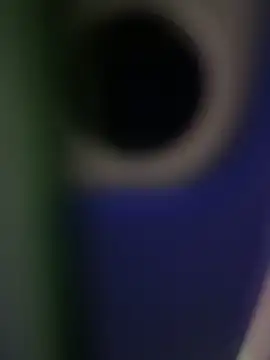 Snapshot of rodrigo21Cm_ chatting on February 2025 09:32:01 PM rodrigo21Cm online show from February 2025 09:32:01 PM