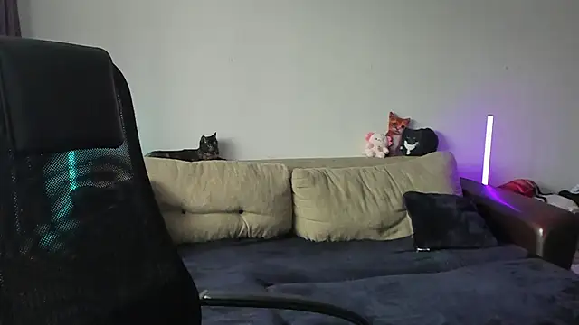 Snapshot of Ostin_meow chatting on July 2026 01:06:01 PM Ostin meow online show from July 2026 01:06:01 PM