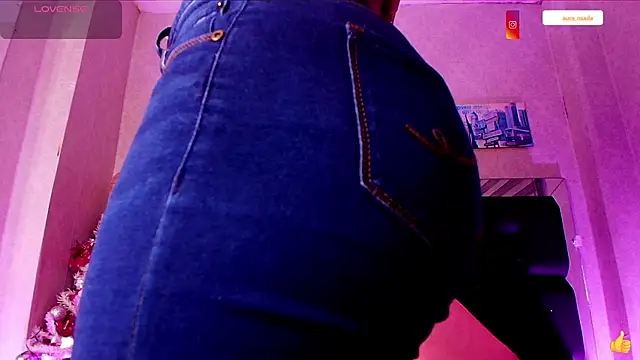 Snapshot of canela_oss chatting on January 2025 11:58:02 AM canela oss online show from January 2025 11:58:02 AM