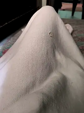 faaseel online show from October 2025 04:49:01 AM