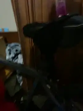 Fuckboy4public online show from January 2025 05:57:01 AM