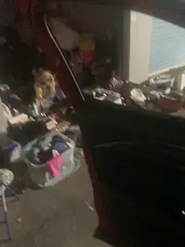 1 chillguy online show from October 2025 03:04:01 AM