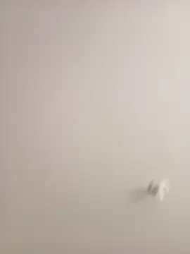 Morguisssz online show from September 2025 01:02:01 PM