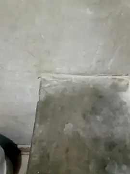 Juan 45 online show from April 2026 09:04:01 AM