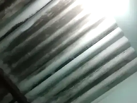 maximo vega newv online show from January 2025 10:58:02 PM