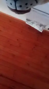 Snapshot of Darly_Gomez chatting on December 2024 04:46:02 PM Darly Gomez online show from December 2024 04:46:02 PM