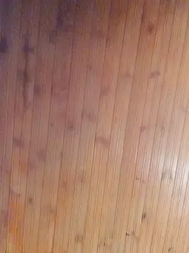 Snapshot of Darly_Gomez chatting on January 2025 07:21:01 PM Darly Gomez online show from January 2025 07:21:01 PM