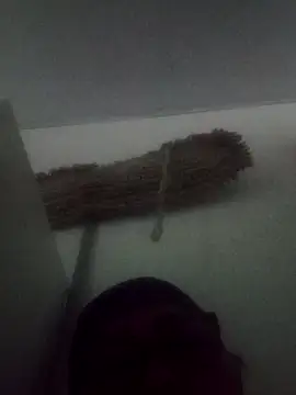 Snapshot of Darly_Gomez chatting on February 2025 05:33:01 PM Darly Gomez online show from February 2025 05:33:01 PM