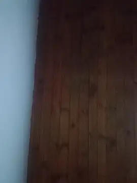 Snapshot of Darly_Gomez chatting on February 2025 11:52:02 PM Darly Gomez online show from February 2025 11:52:02 PM