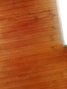 Snapshot of Darly_Gomez chatting on March 2025 04:00:02 PM Darly Gomez online show from March 2025 04:00:02 PM