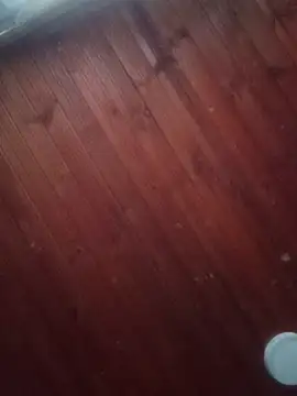 Snapshot of Darly_Gomez chatting on March 2025 10:10:01 PM Darly Gomez online show from March 2025 10:10:01 PM