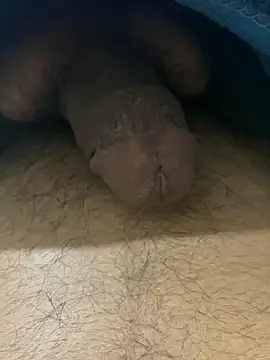 chikagokadi31 online show from April 2026 03:28:01 PM