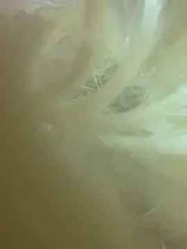 CherryEmmy online show from October 2025 07:18:01 PM