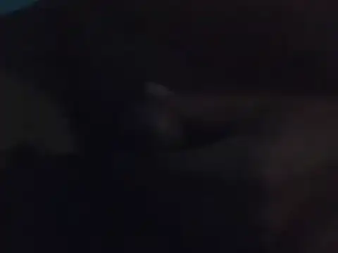 Penis58 online show from December 2024 10:26:01 PM