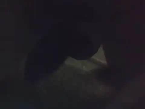 Penis58 online show from December 2024 12:16:02 PM