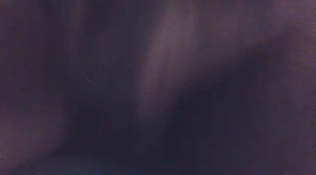 Penis58 online show from December 2024 01:50:01 PM