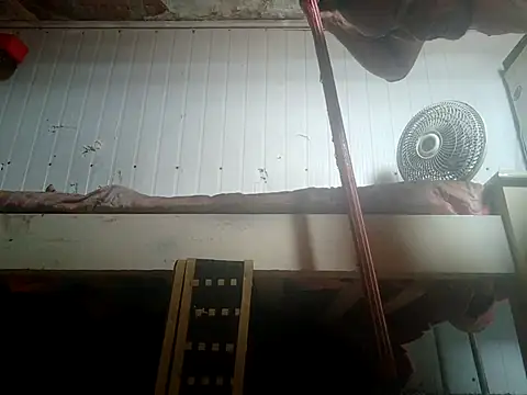 frotasso online show from February 2026 02:25:01 PM