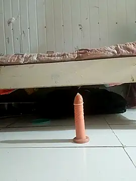 frotasso online show from February 2026 11:23:01 PM