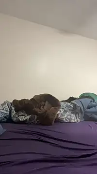 daddymaniaco69 online show from December 2024 04:52:01 PM