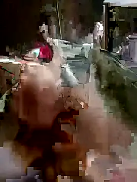 fun2fuck173 online show from October 2025 12:05:01 PM