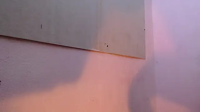 Snapshot of mr_stiven_ chatting on March 2025 02:16:01 AM mr stiven online show from March 2025 02:16:01 AM