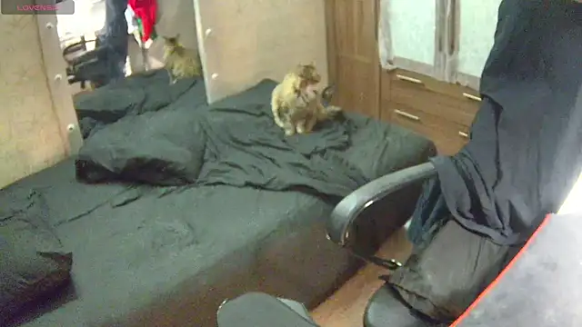 Julia dolls online show from December 2024 07:03:02 PM