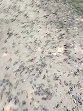 chootkapyasa007 online show from October 2025 07:19:02 AM