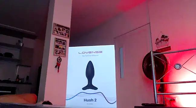 GamerQuinn online show from December 2024 03:22:02 PM