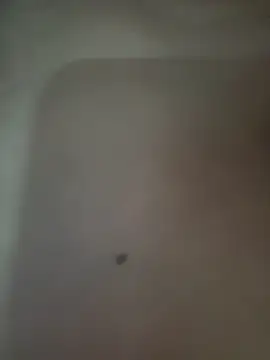 Snapshot of Akhi_Akshaya chatting on January 2025 05:38:01 PM Akhi Akshaya online show from January 2025 05:38:01 PM