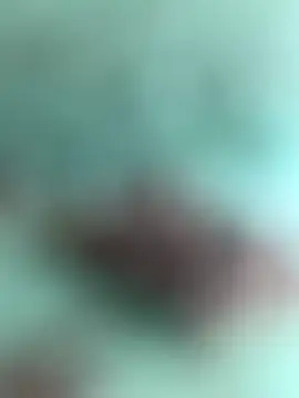 Indiancockmilk online show from January 2025 06:35:01 AM